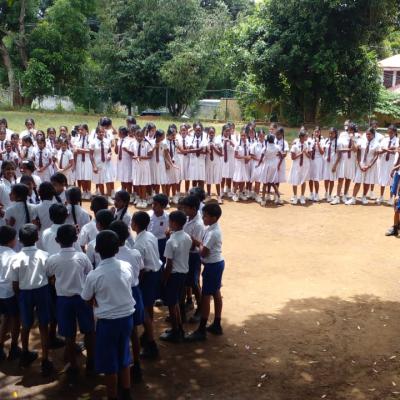 879526a0 01cc 4d9b B760 E7a8a7c6b312